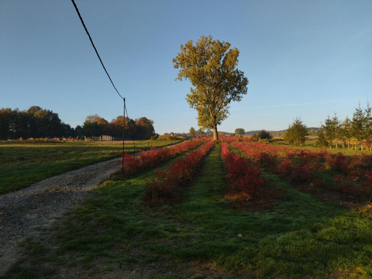 Gospodarstwo Agroturystyczne Borowkowy Bukiet Smakow Iwkowa Exterior foto