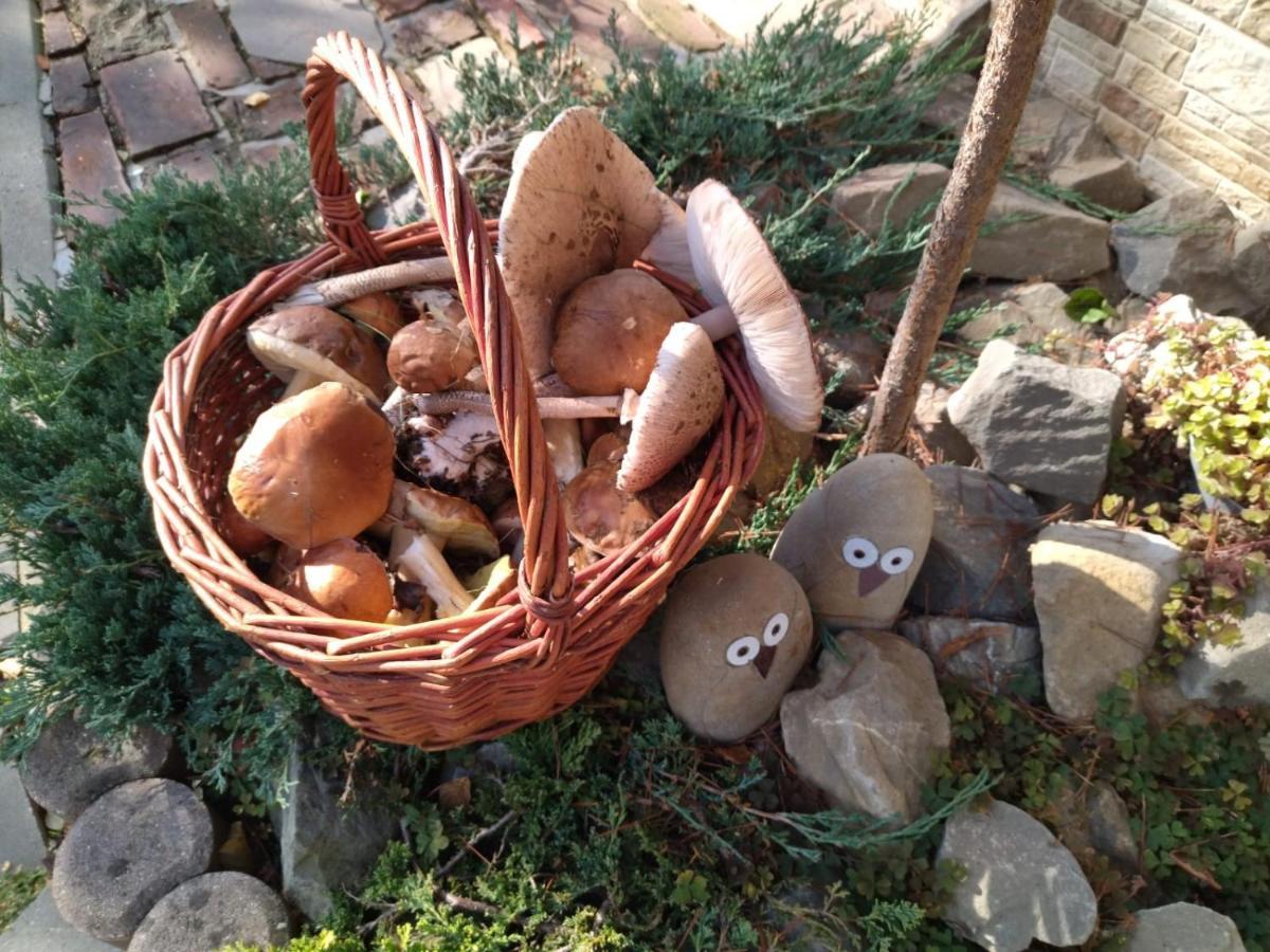Gospodarstwo Agroturystyczne Borowkowy Bukiet Smakow Iwkowa Exterior foto