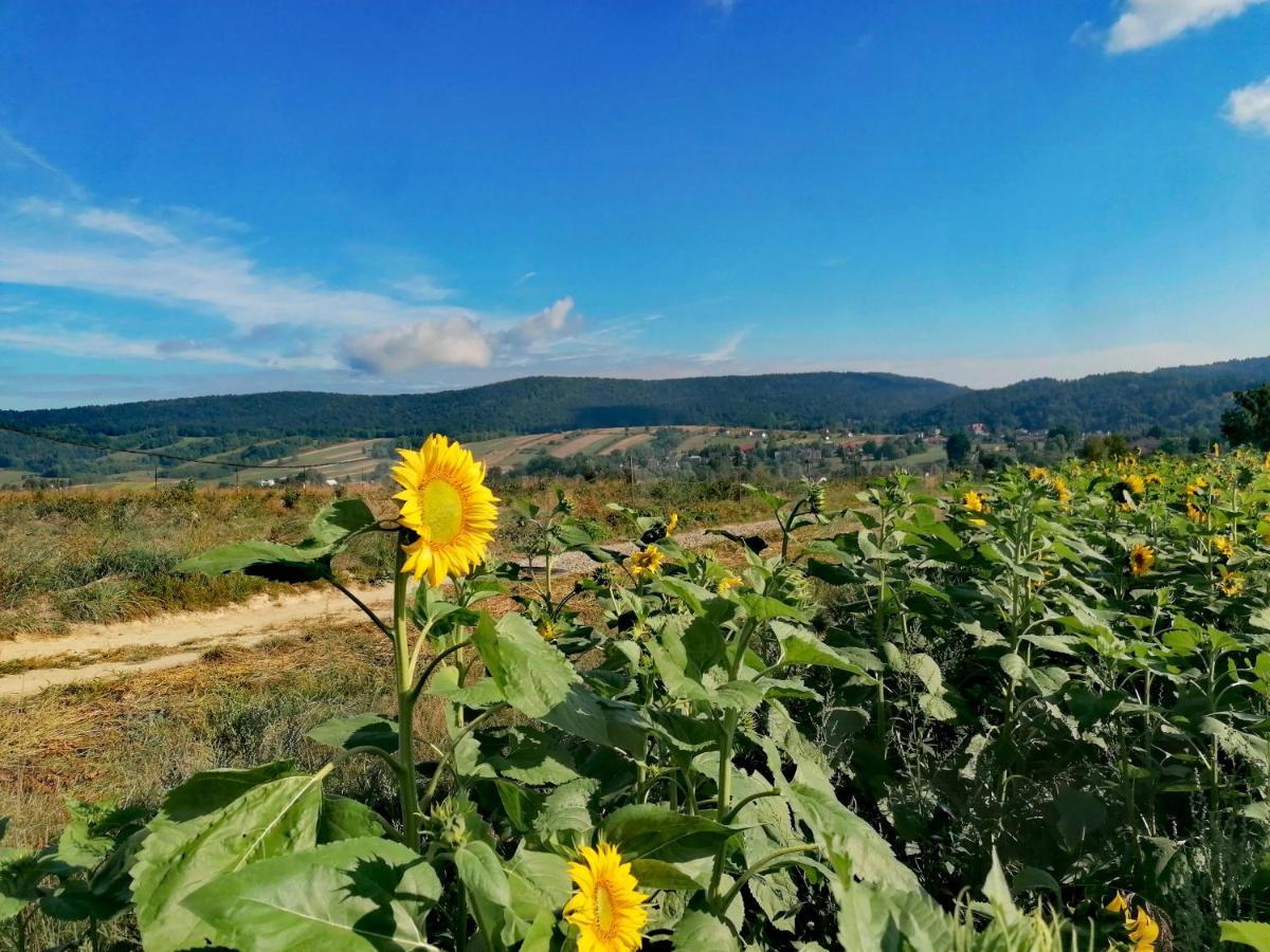 Gospodarstwo Agroturystyczne Borowkowy Bukiet Smakow Iwkowa Exterior foto